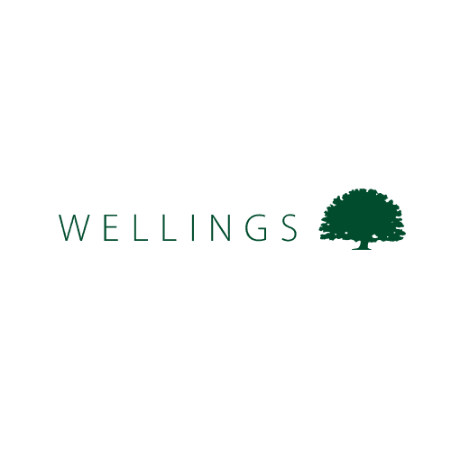 Logo Welling GmbH