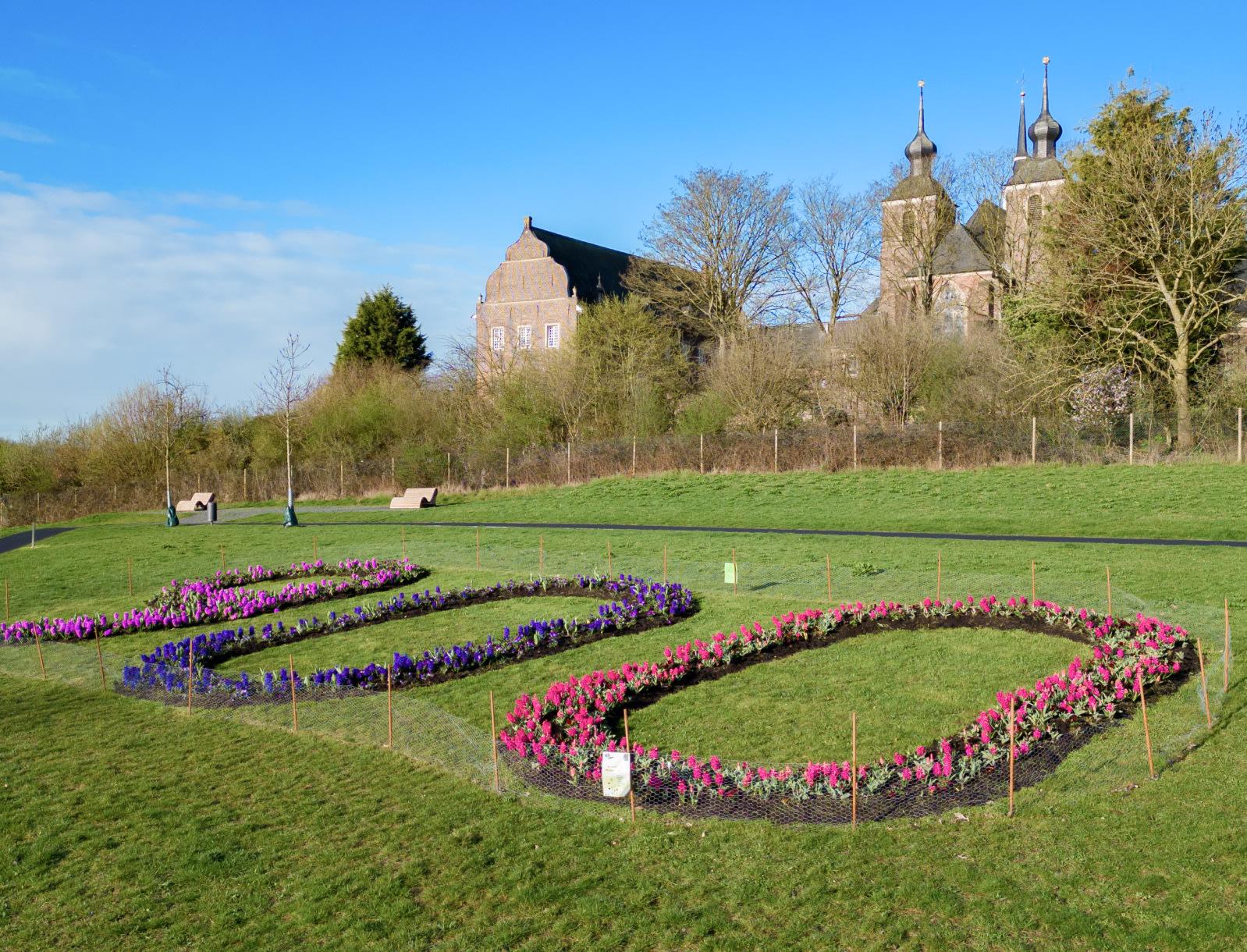Schnappschuss der Tulpenaktion des Fördervereins Landesgartenschau
