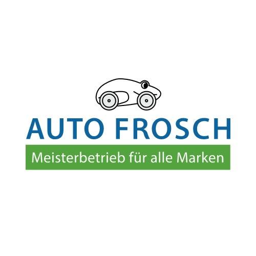 Auto Frosch